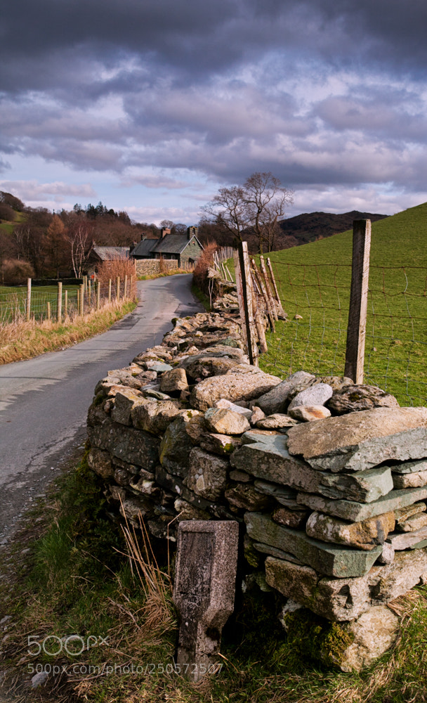 Canon EOS 5D Mark II sample photo. Lake district various photography