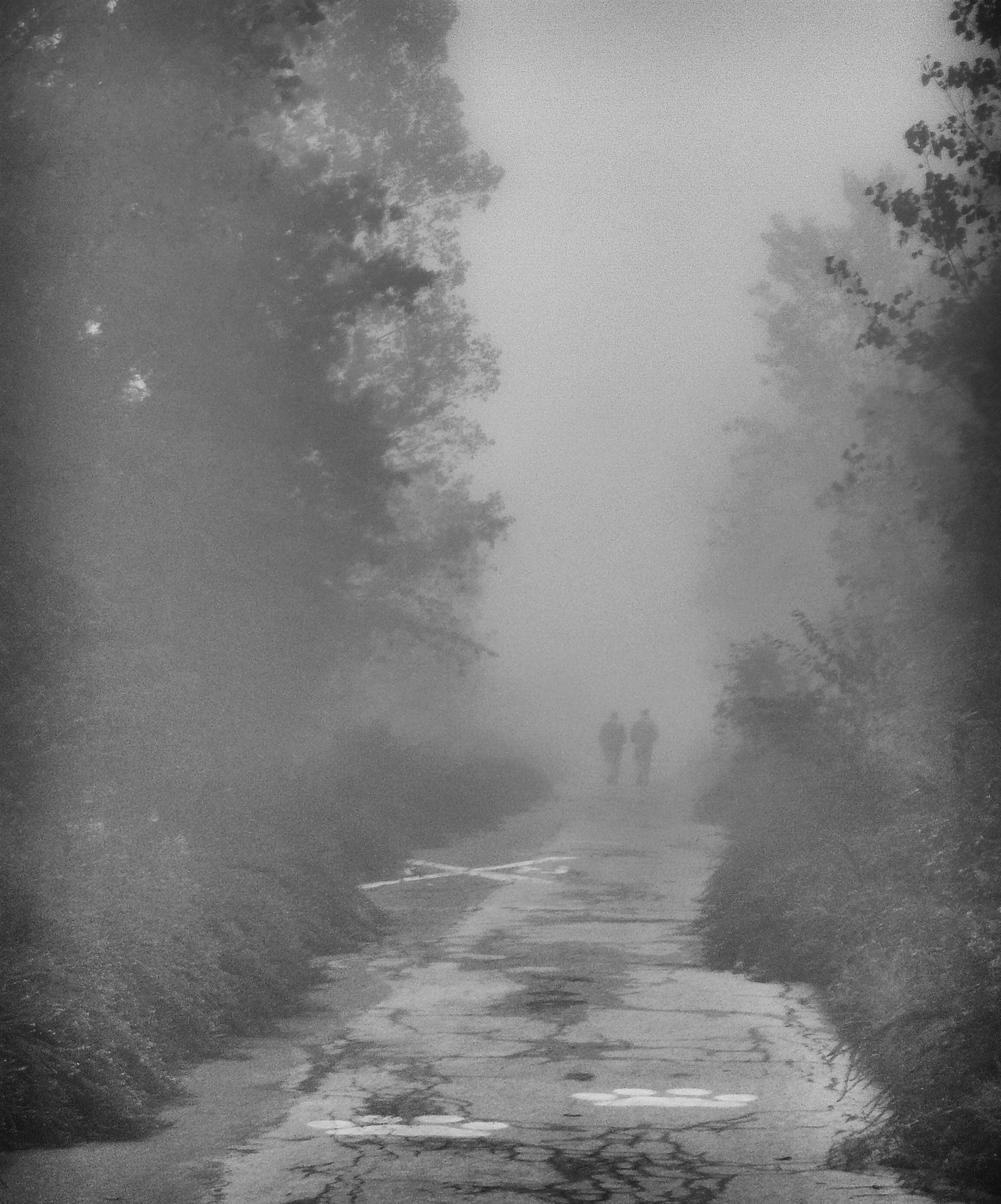 Panasonic DMC-FX07 sample photo. Figures in the fog photography