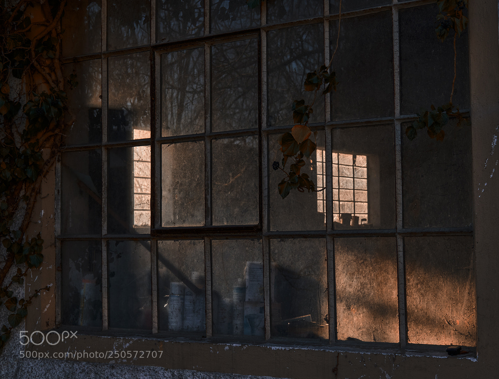 Fujifilm X-T20 sample photo. Light box photography
