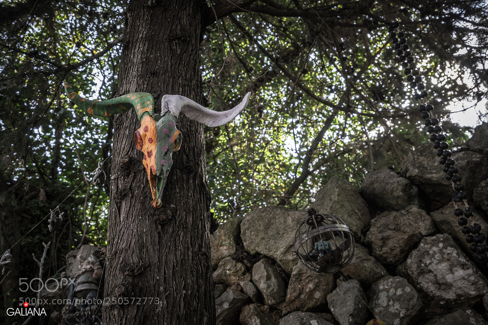 Sony a7 sample photo. Arbol de los deseos photography