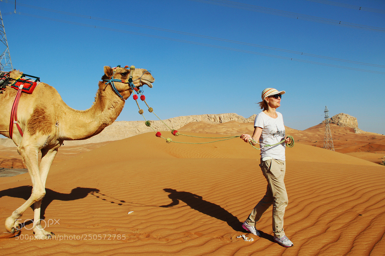 Canon EOS 600D (Rebel EOS T3i / EOS Kiss X5) sample photo. With a camel photography