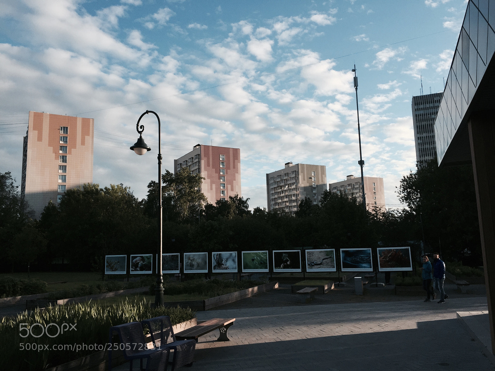 Apple iPhone 6 sample photo. 2017-06-04 19-47-49.jpg photography