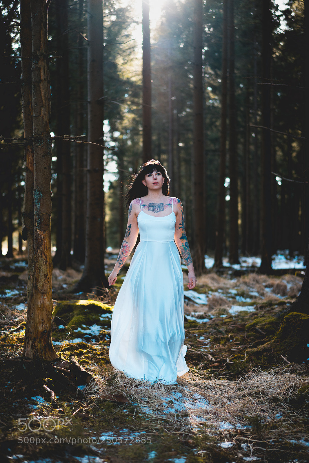 Sony a7 II sample photo. In the woods photography