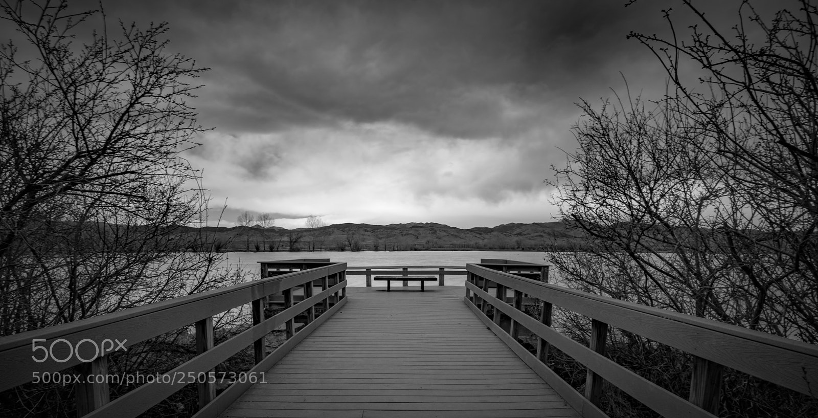 Sony a7R II sample photo. Coot lake pier photography