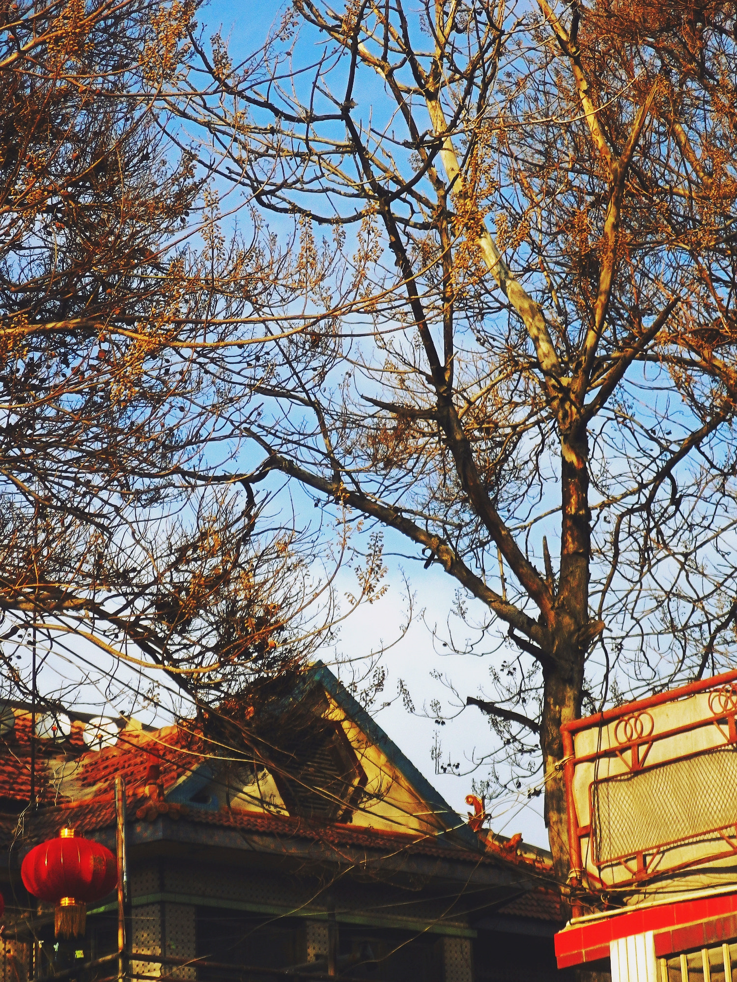 Pentax Optio H90 sample photo. March photography