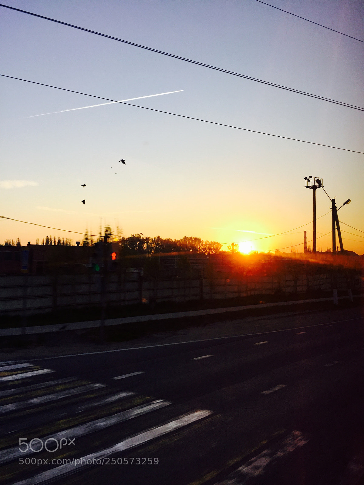 Apple iPhone 6 sample photo. Img photography