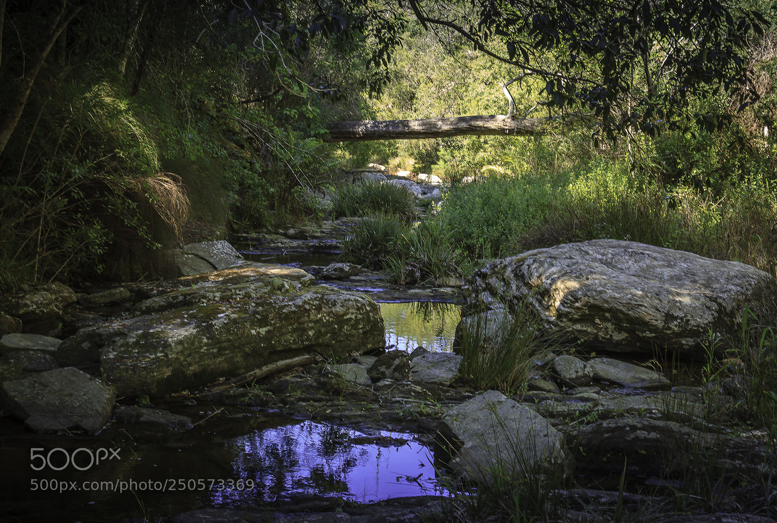 Canon EOS 7D sample photo. Herman van zyl photography