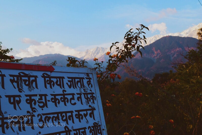 Nikon D5300 sample photo. Unknown words  photography