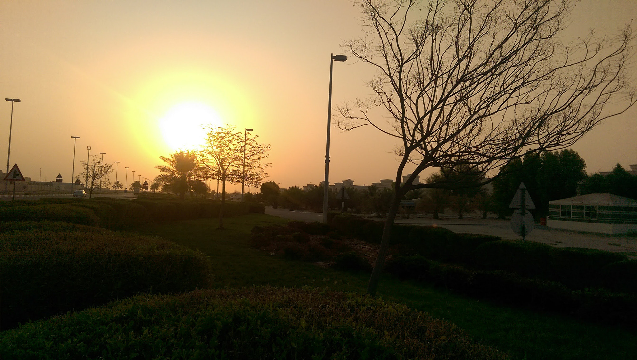 HTC ONE M8 sample photo