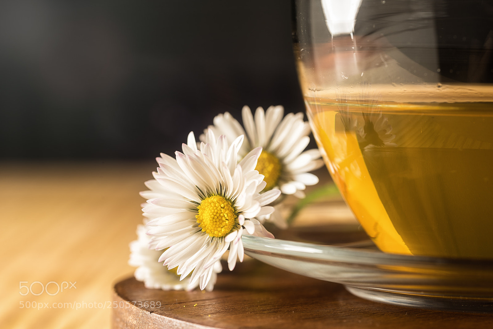 Nikon D810 sample photo. Chamomile photography