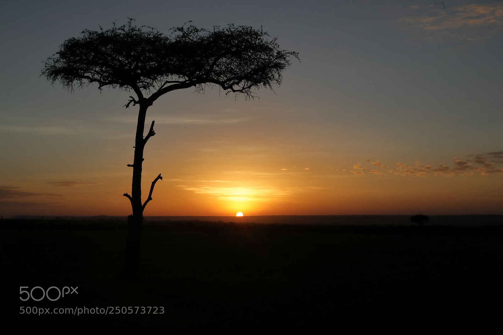 Canon EF 24-105mm F4L IS USM sample photo. African sunset photography