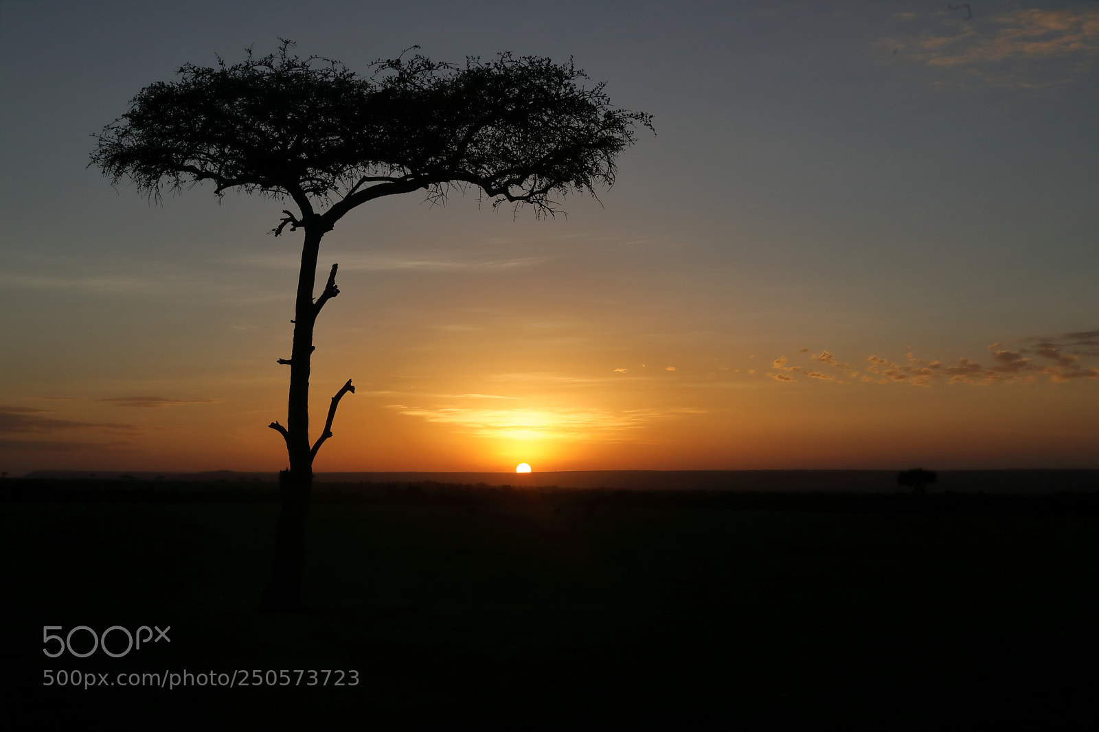 Canon EOS 5D Mark IV sample photo. African sunset photography