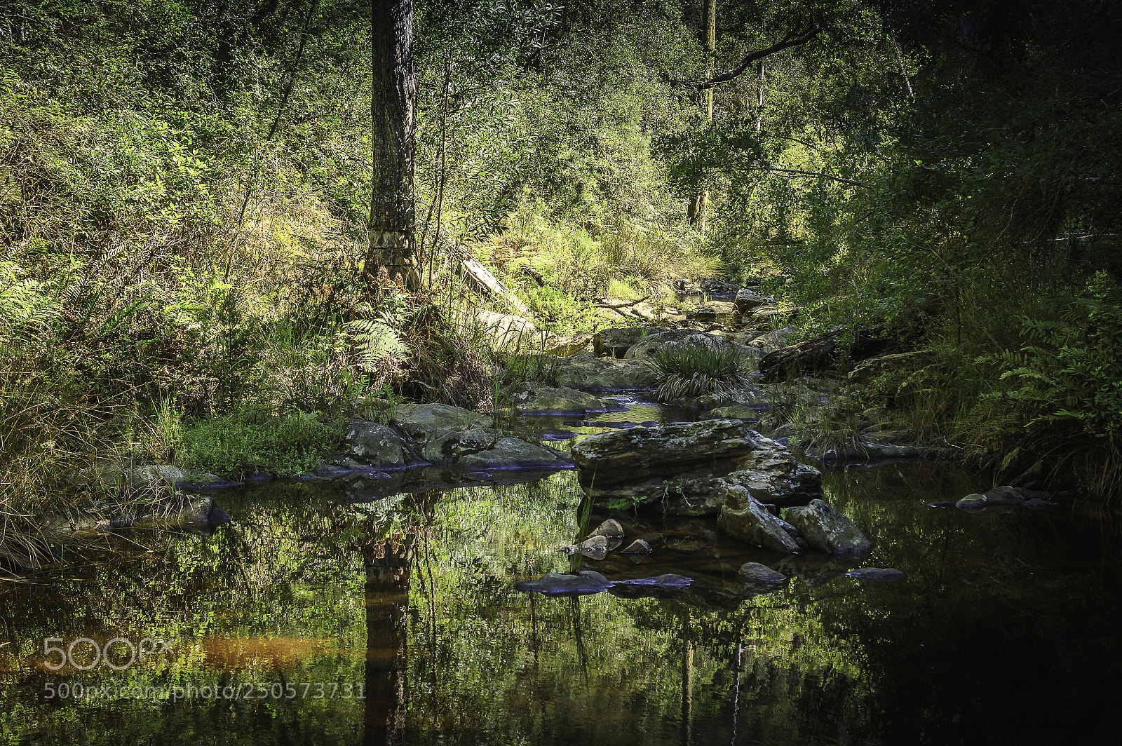 Canon EOS 7D sample photo. Herman van zyl photography