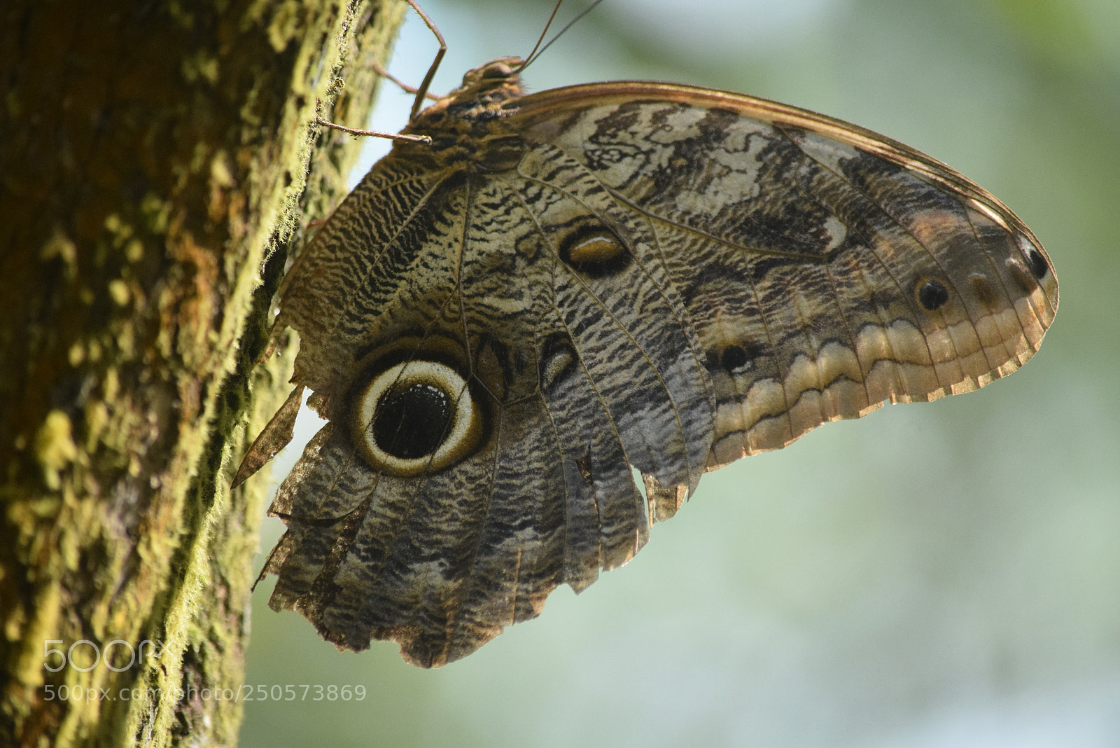 Nikon D5300 sample photo. Magic nature photography