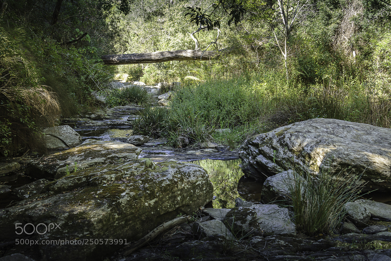 Canon EOS 7D sample photo. Herman van zyl photography