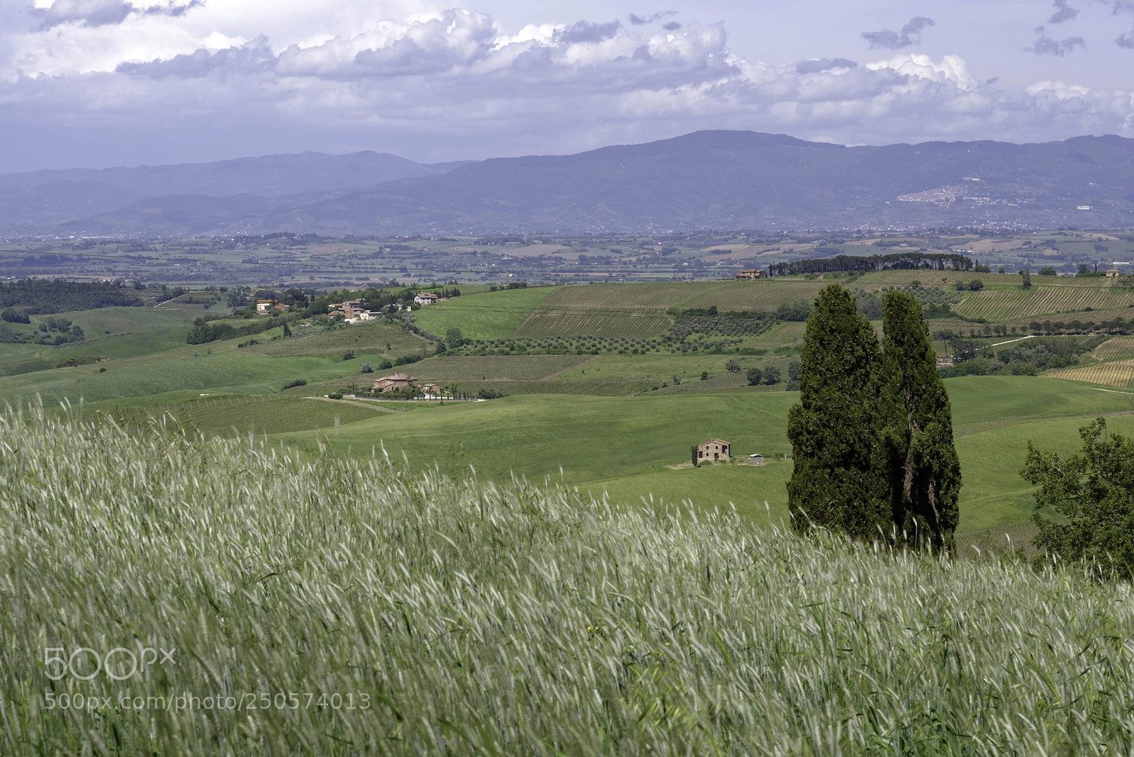 Nikon D800 sample photo. Farm in val d'orcia photography