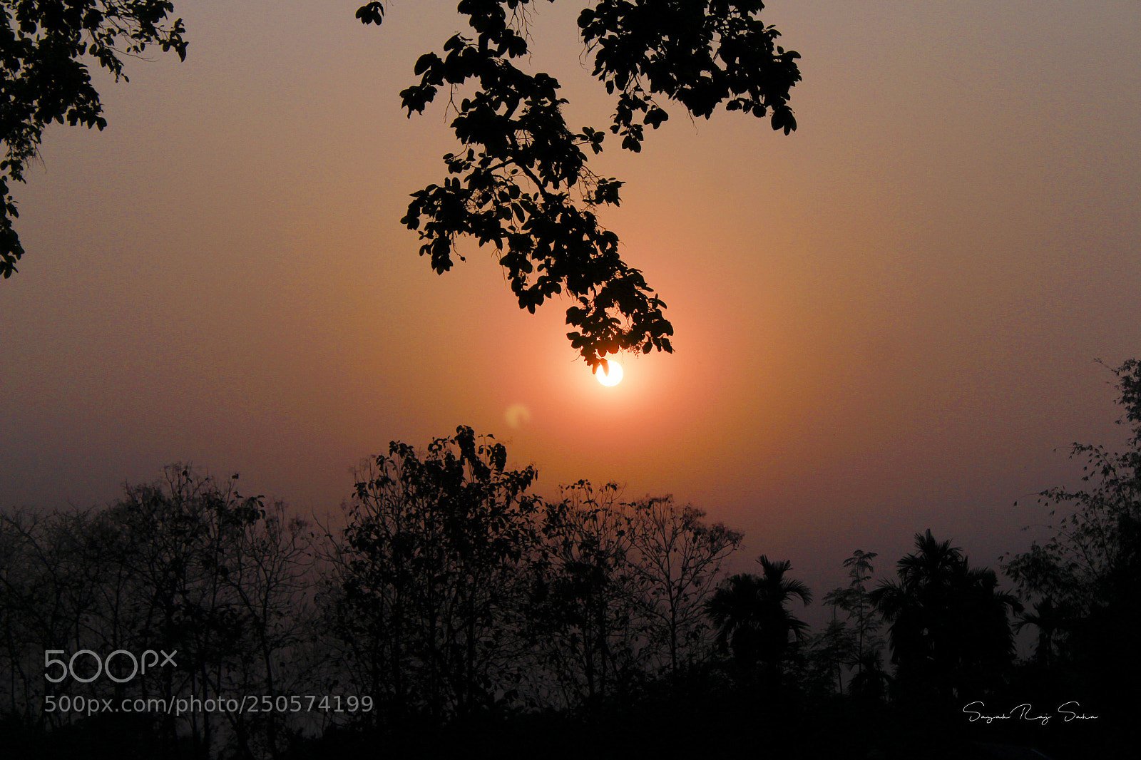 Canon EOS 700D (EOS Rebel T5i / EOS Kiss X7i) sample photo. Untitled photography