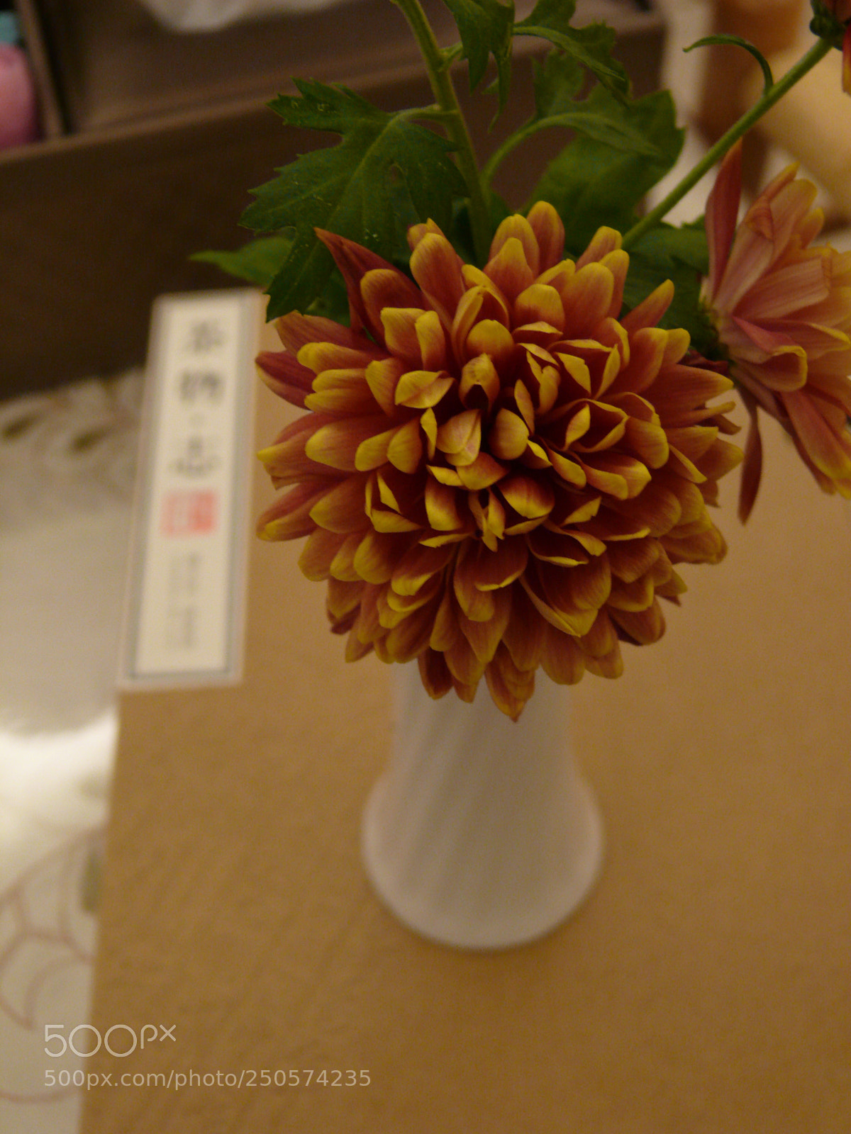 Leica V-LUX 1 sample photo. Untitled photography