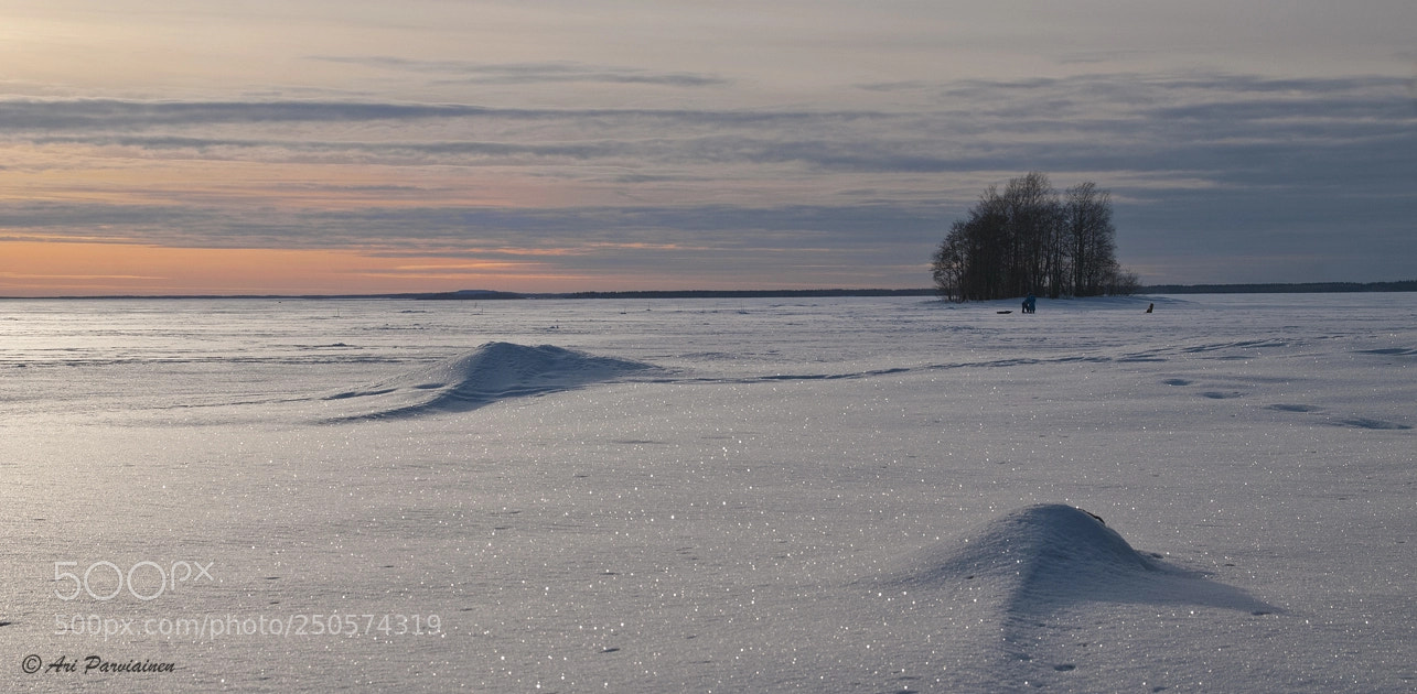 Nikon D300S sample photo. Fishing at sunset photography