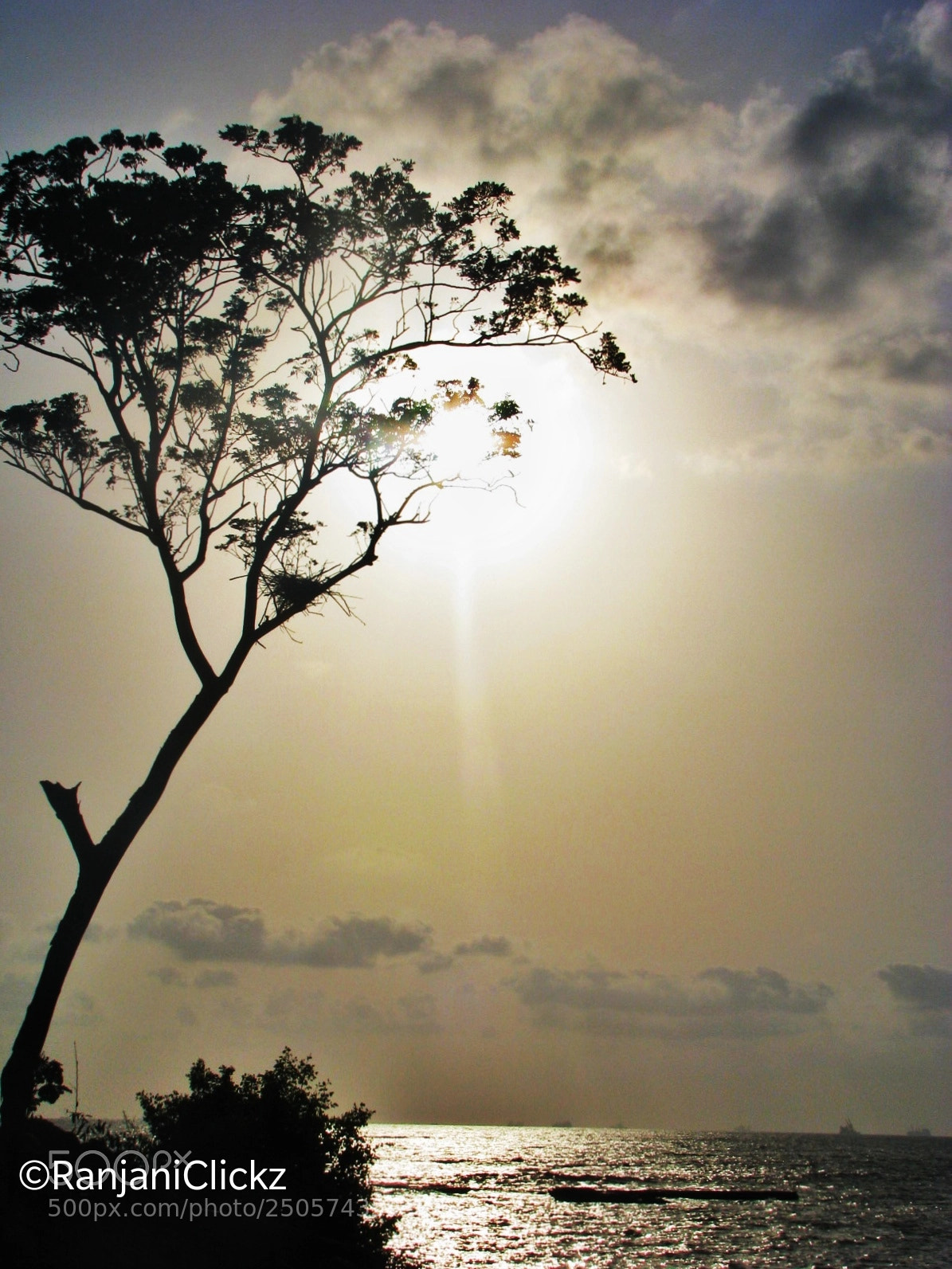 Canon POWERSHOT S5 IS sample photo. Silhouette photography