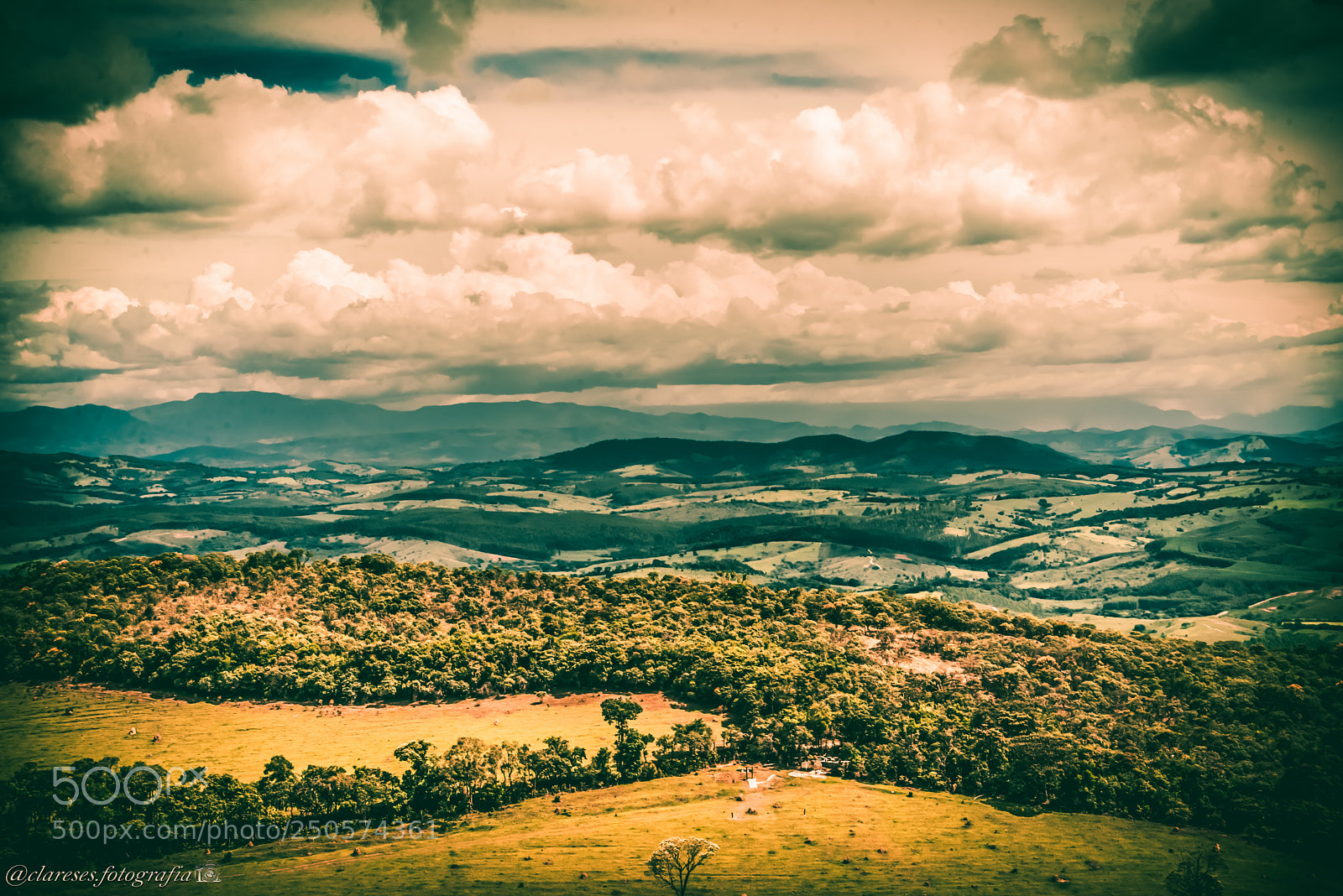 Nikon D600 sample photo. A relativa vastid o photography