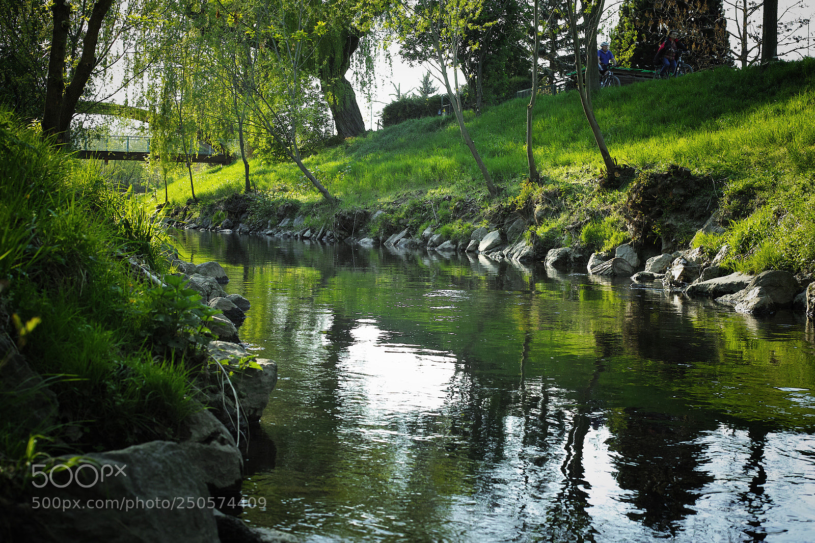 Sigma DP2 Merrill sample photo. Der liesingbach photography