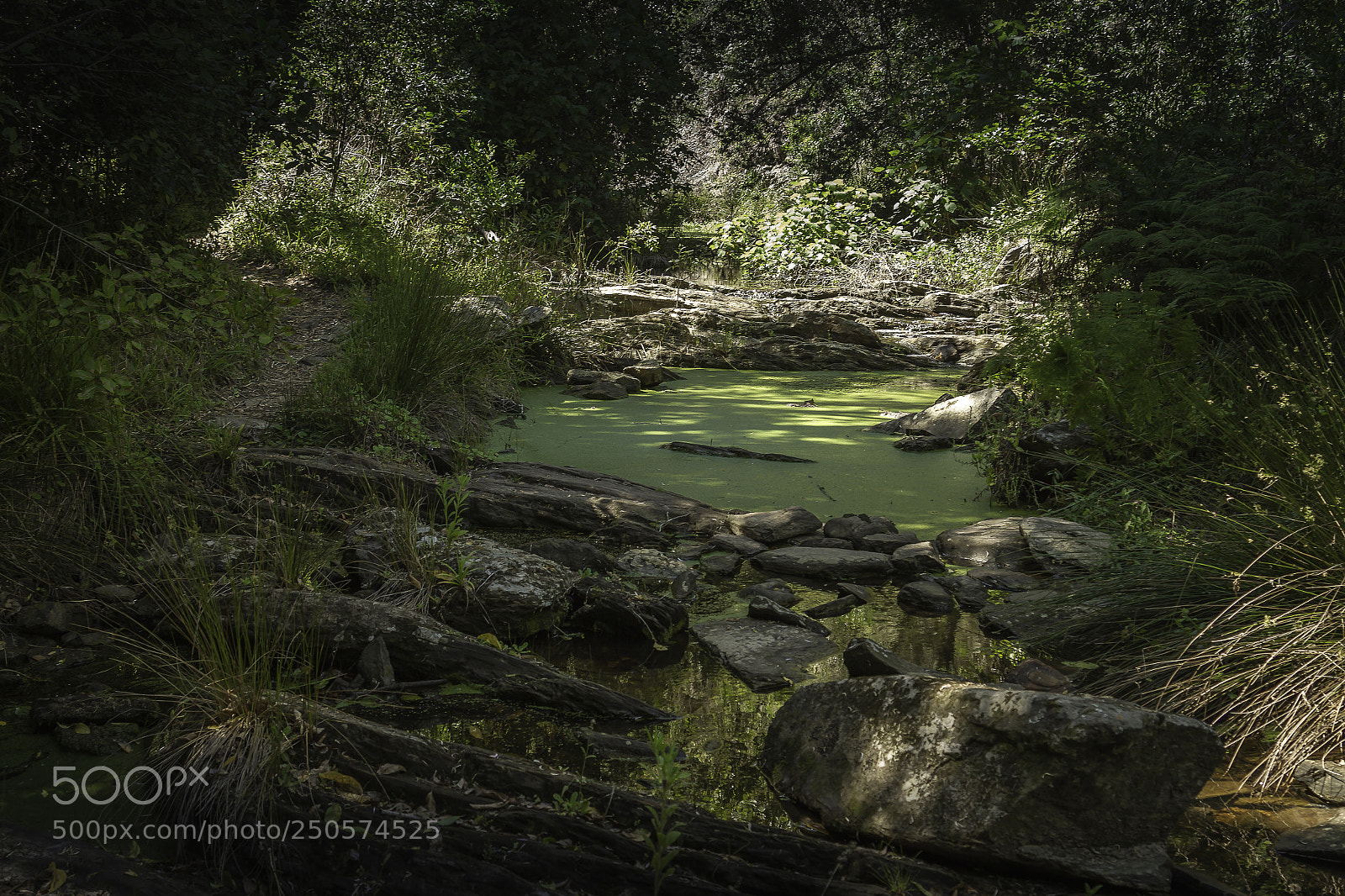Canon EOS 7D sample photo. Herman van zyl photography
