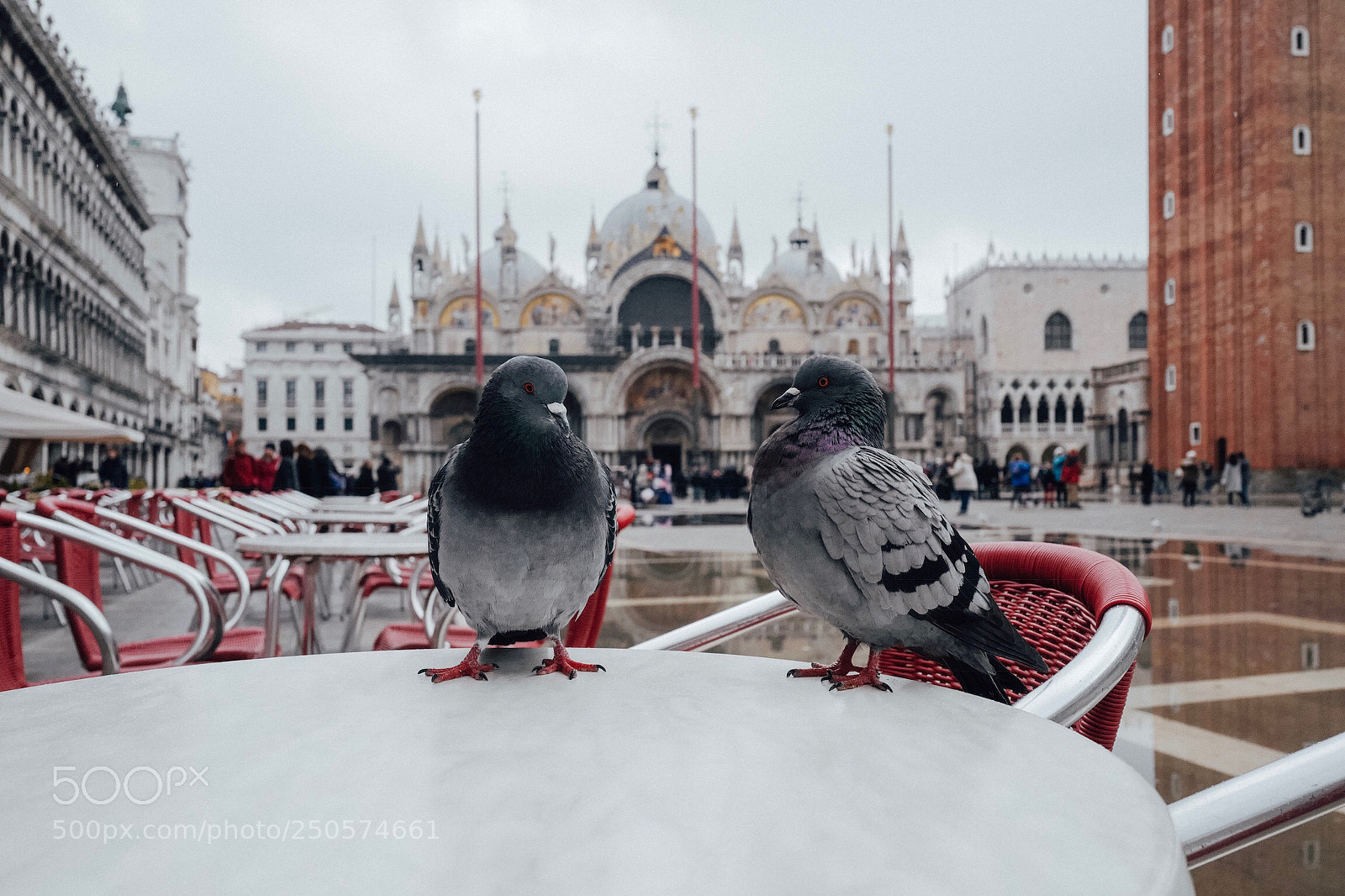 Leica Q (Typ 116) sample photo. “2018, venezia”.  photography