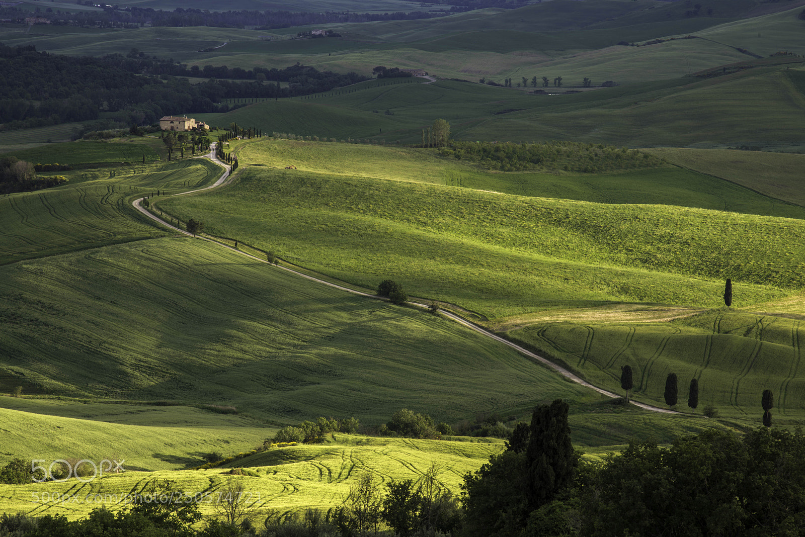Nikon D800 sample photo. Gladiator fields photography