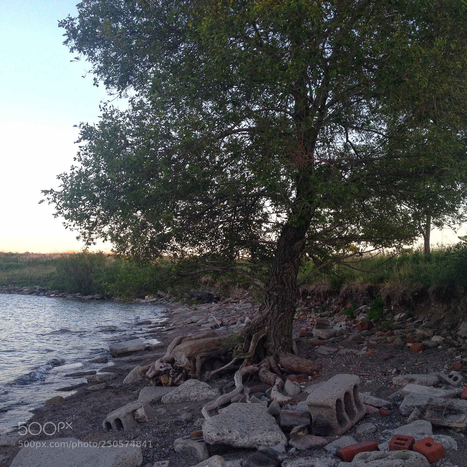 Apple iPhone 4S sample photo. Toronto lakeshore photography