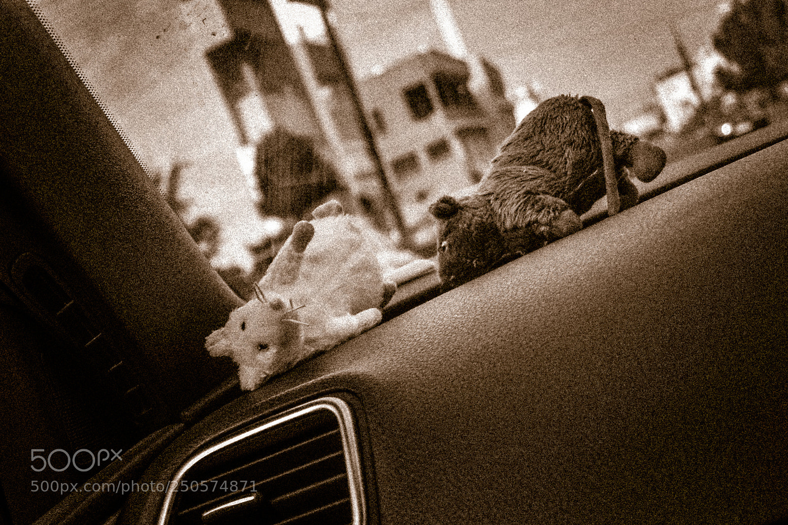 Nikon D5300 sample photo. Mice!! photography