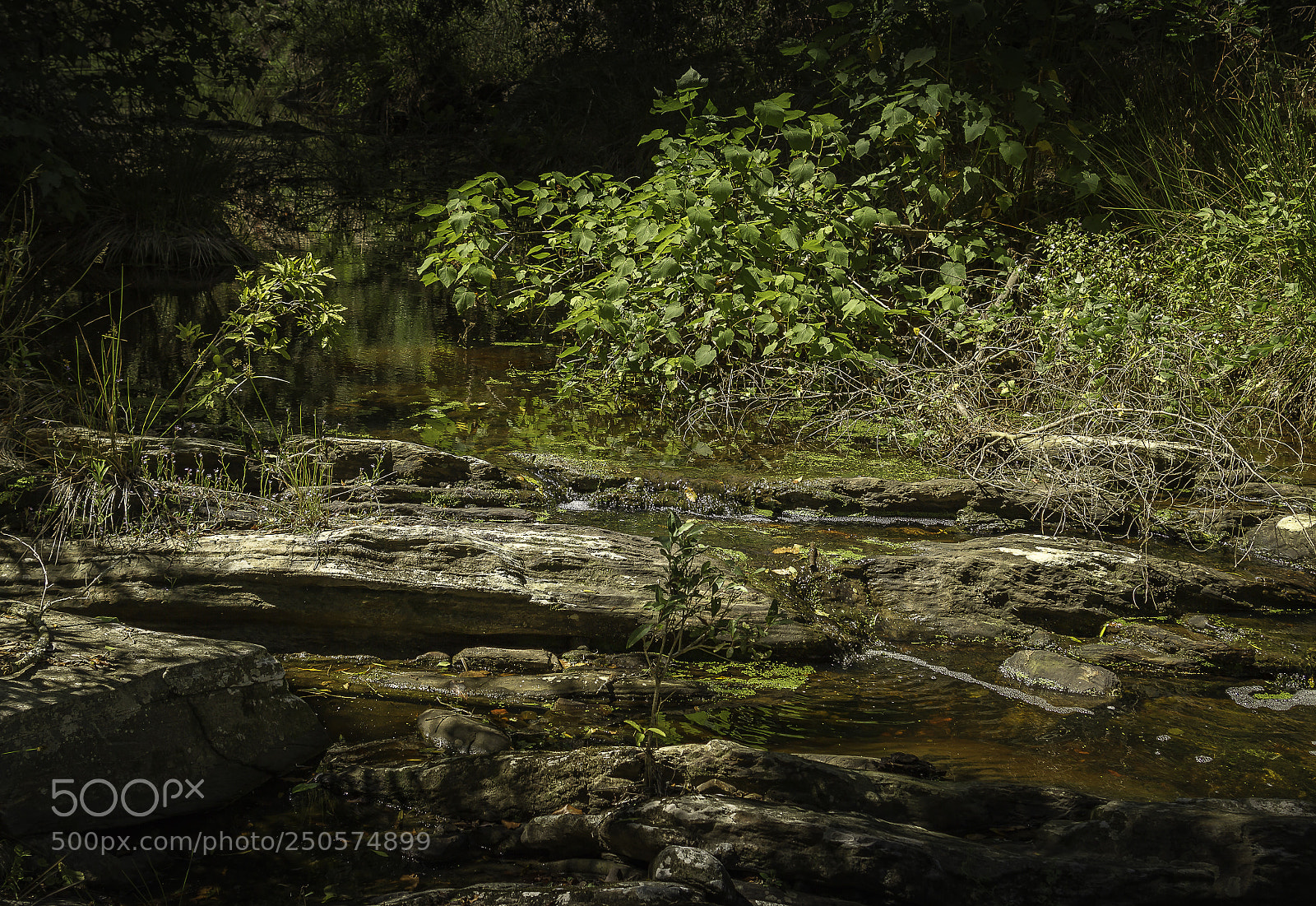 Canon EOS 7D sample photo. Herman van zyl photography