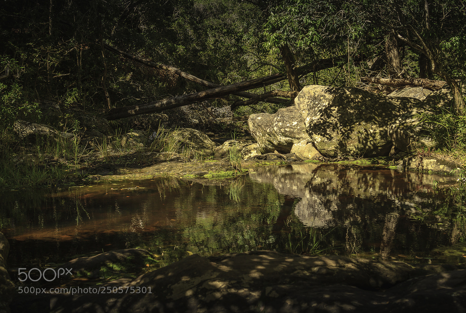 Canon EOS 7D sample photo. Herman van zyl photography