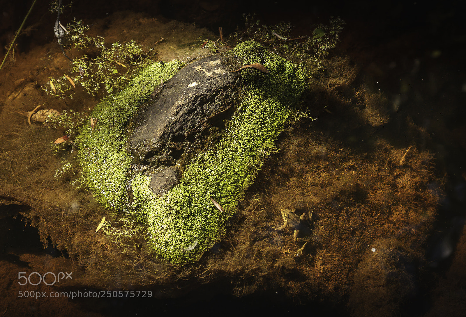 Canon EOS 7D sample photo. Herman van zyl photography