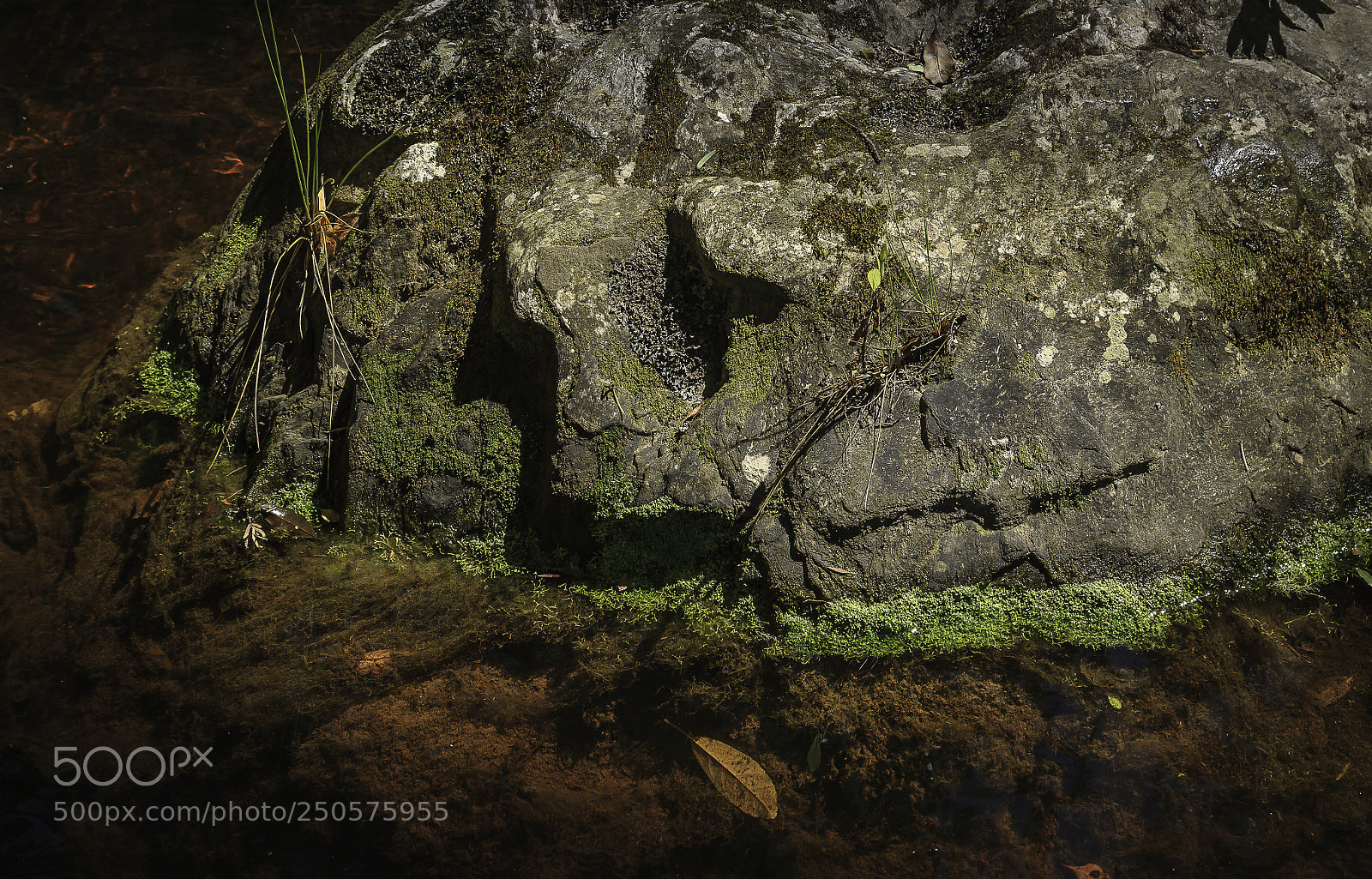 Canon EOS 7D sample photo. Herman van zyl photography