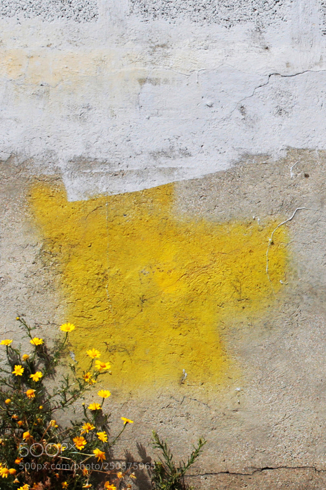 Canon EOS 5D Mark II sample photo. Spring is in the photography