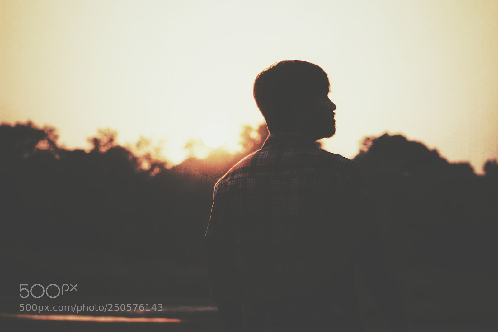 Canon EOS 70D sample photo. Untitled photography