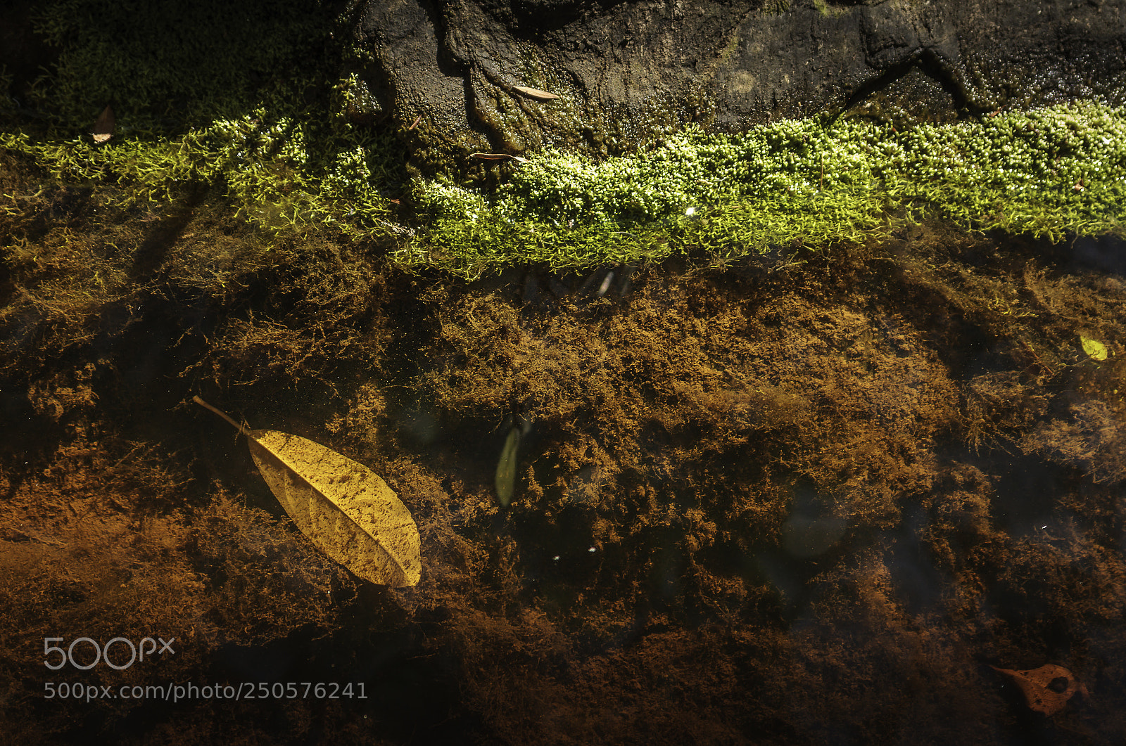 Canon EOS 7D sample photo. Herman van zyl photography