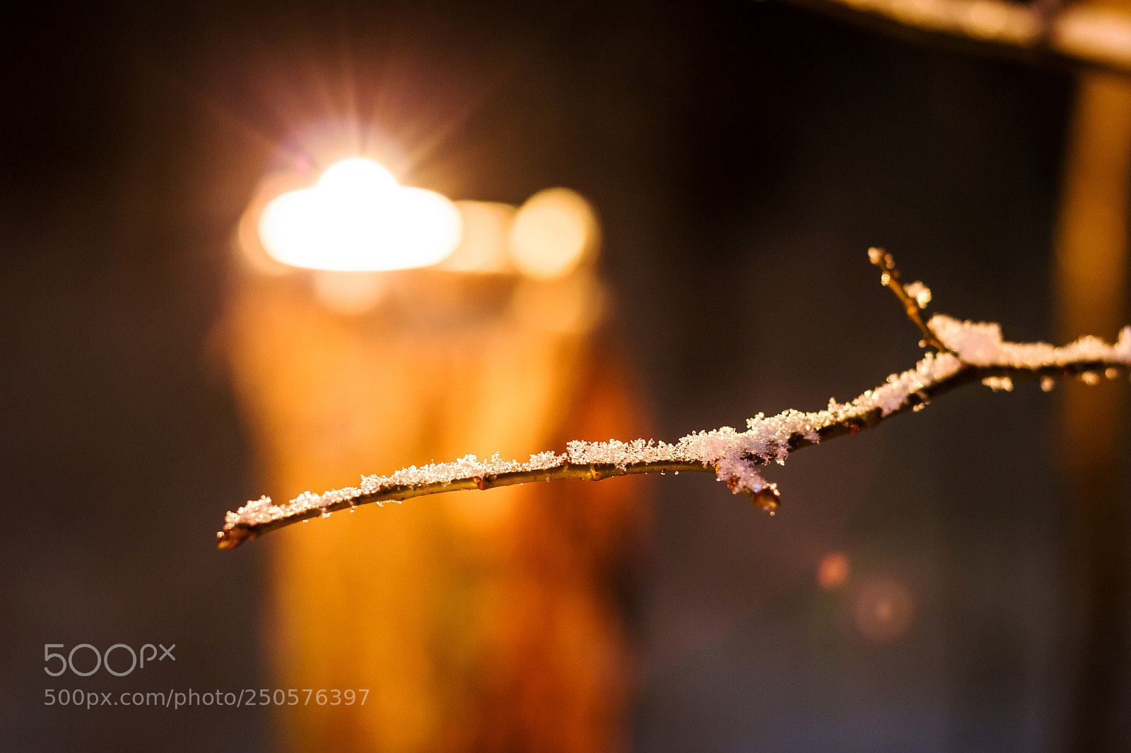 Canon EOS 650D (EOS Rebel T4i / EOS Kiss X6i) sample photo. Branch with snow at photography