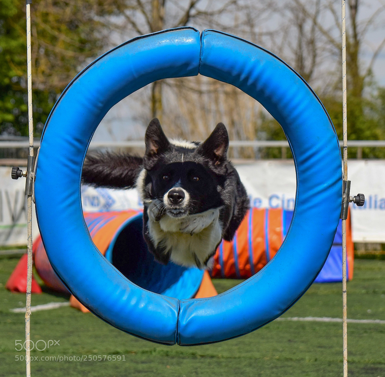 Nikon D5500 sample photo. Dsc_0703_edited.jpg photography