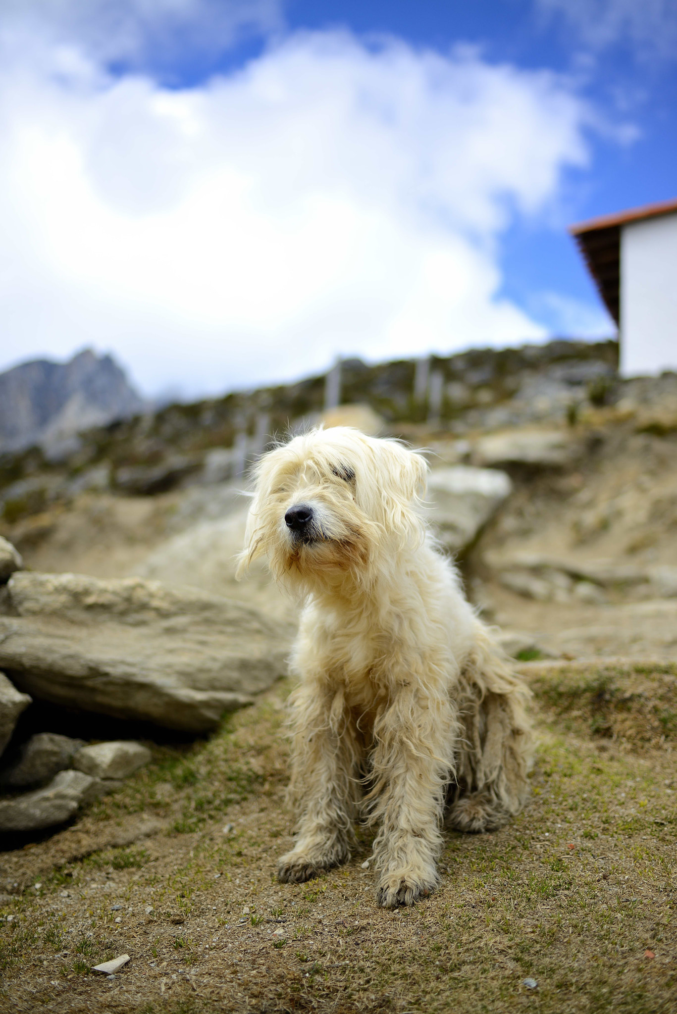 Nikon D800 sample photo. El chicle... photography