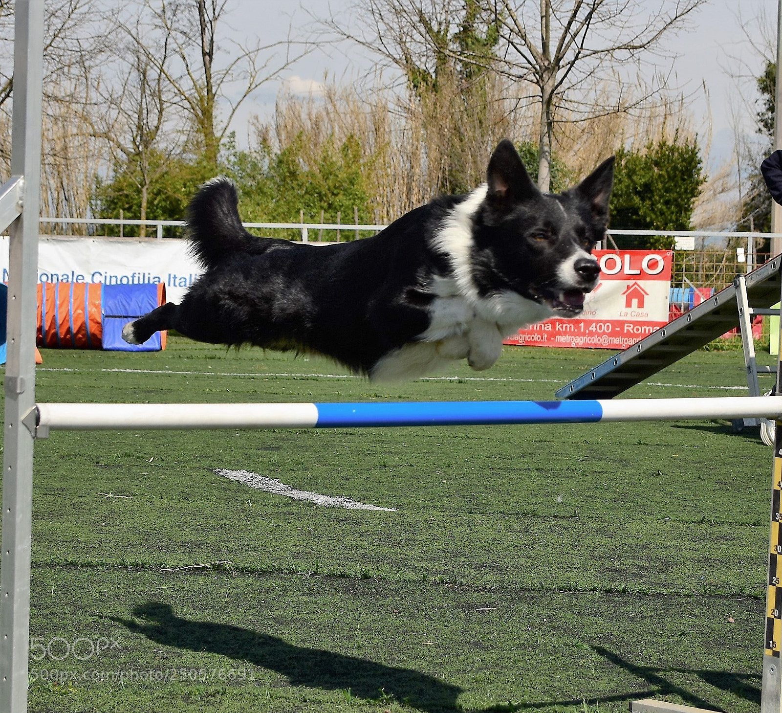 Nikon D5500 sample photo. Dsc_0685_edited.jpg photography