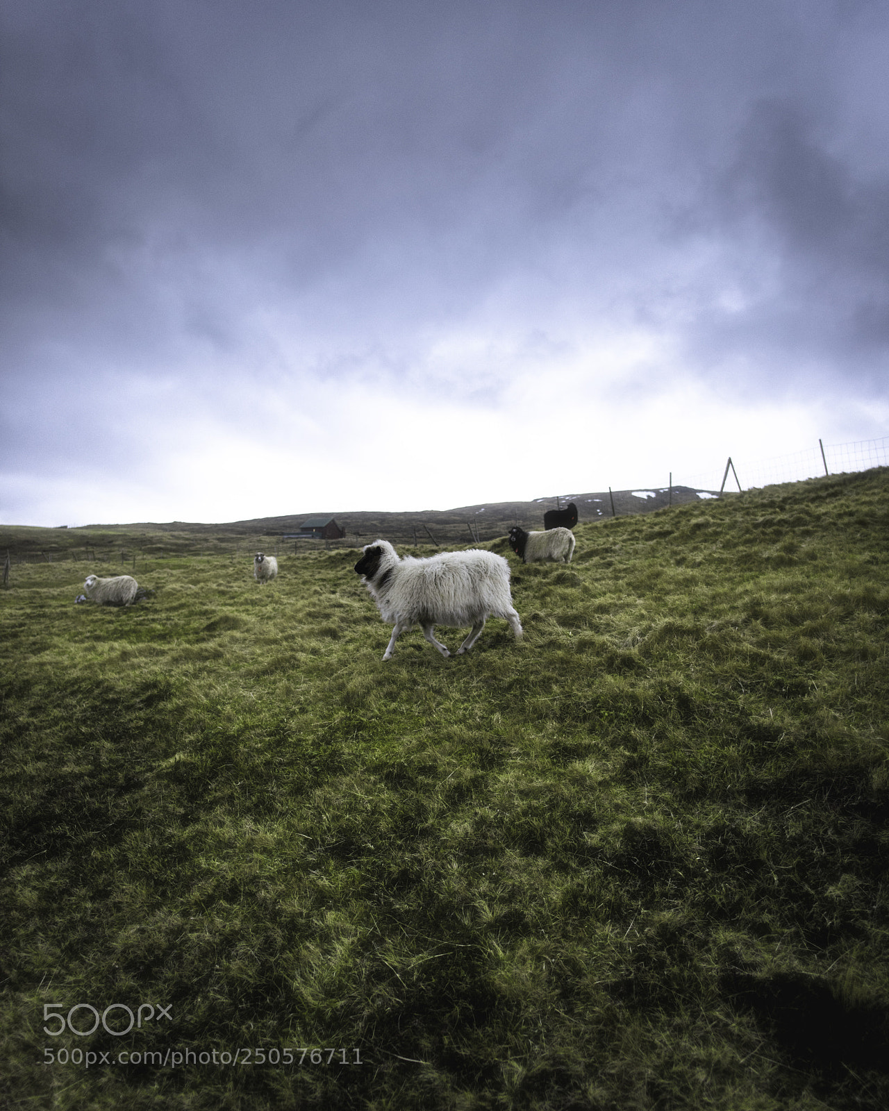 Nikon D810 sample photo. Faroe island beauty photography