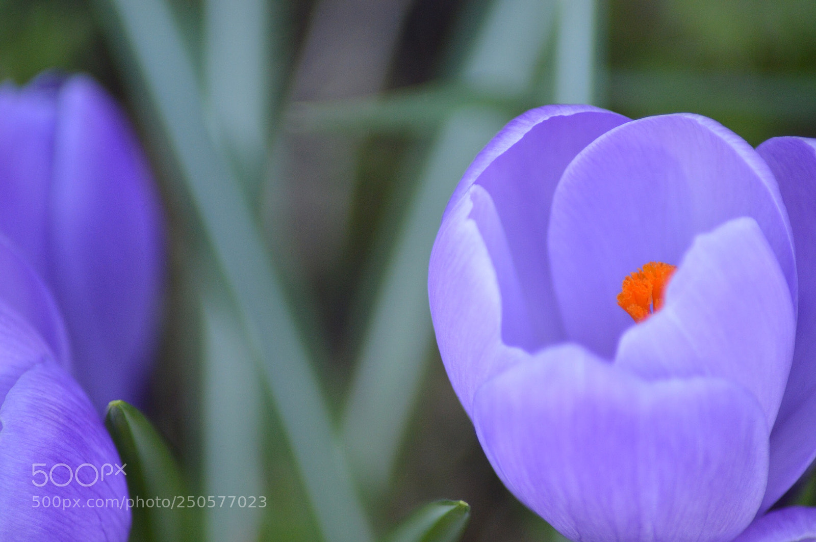 Nikon D3200 sample photo. Untitled photography