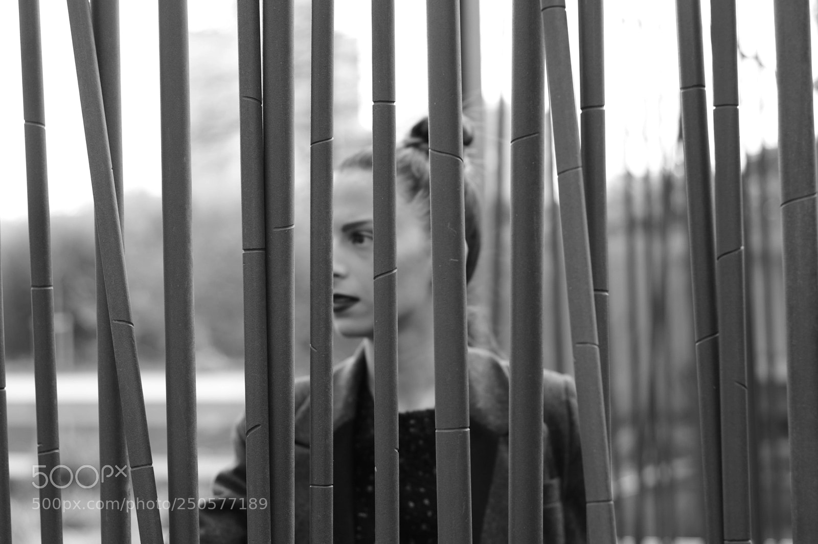 Nikon D3200 sample photo. Bamboo photography