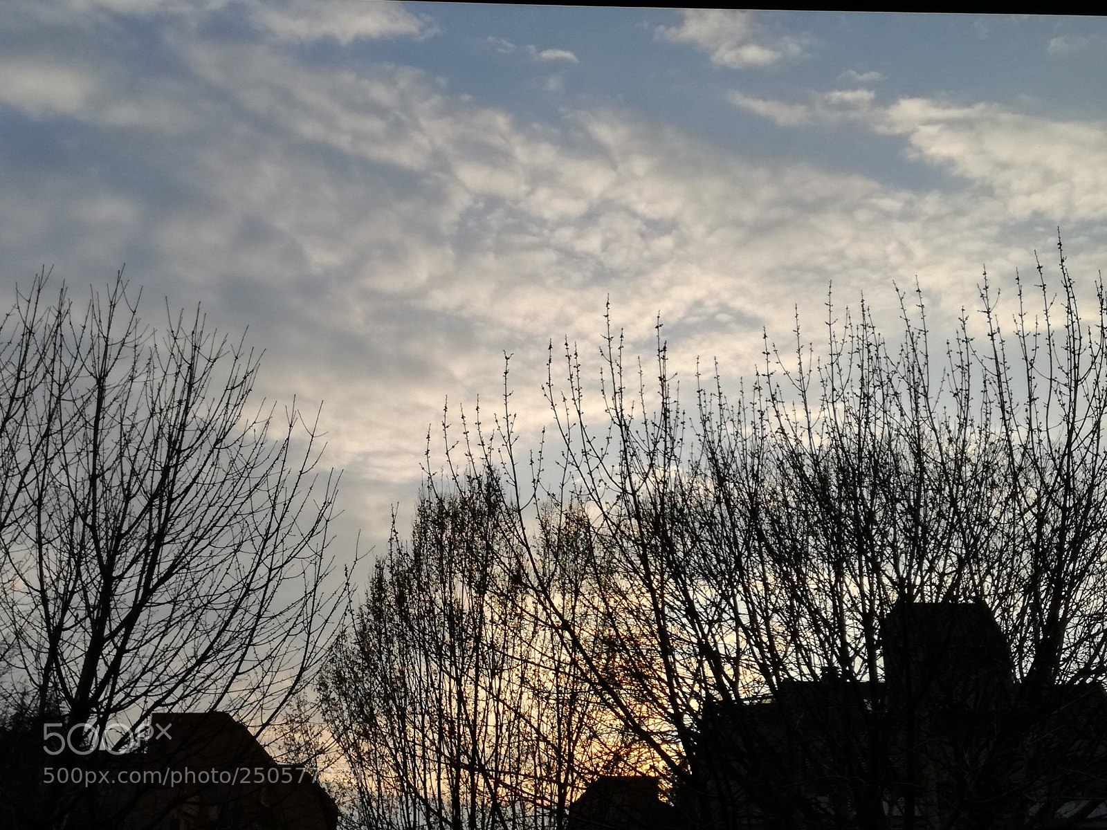 HUAWEI P9 LITE sample photo. Dreams photography