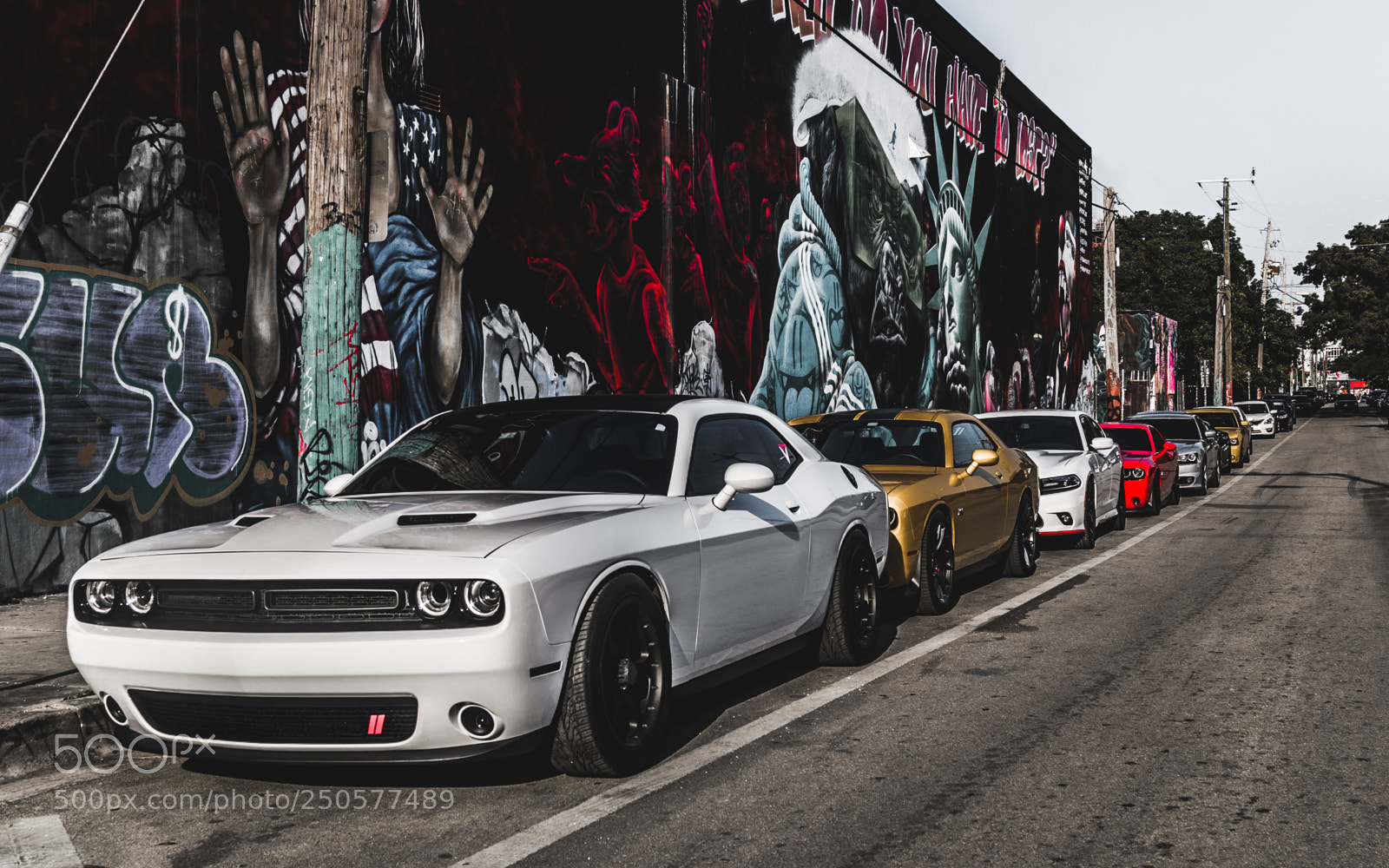 Sony a6500 sample photo. Muscles in wynwood photography