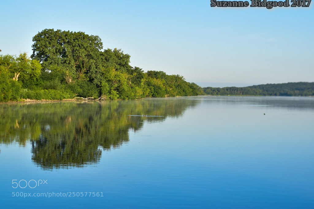 Nikon D5500 sample photo. Reflections photography