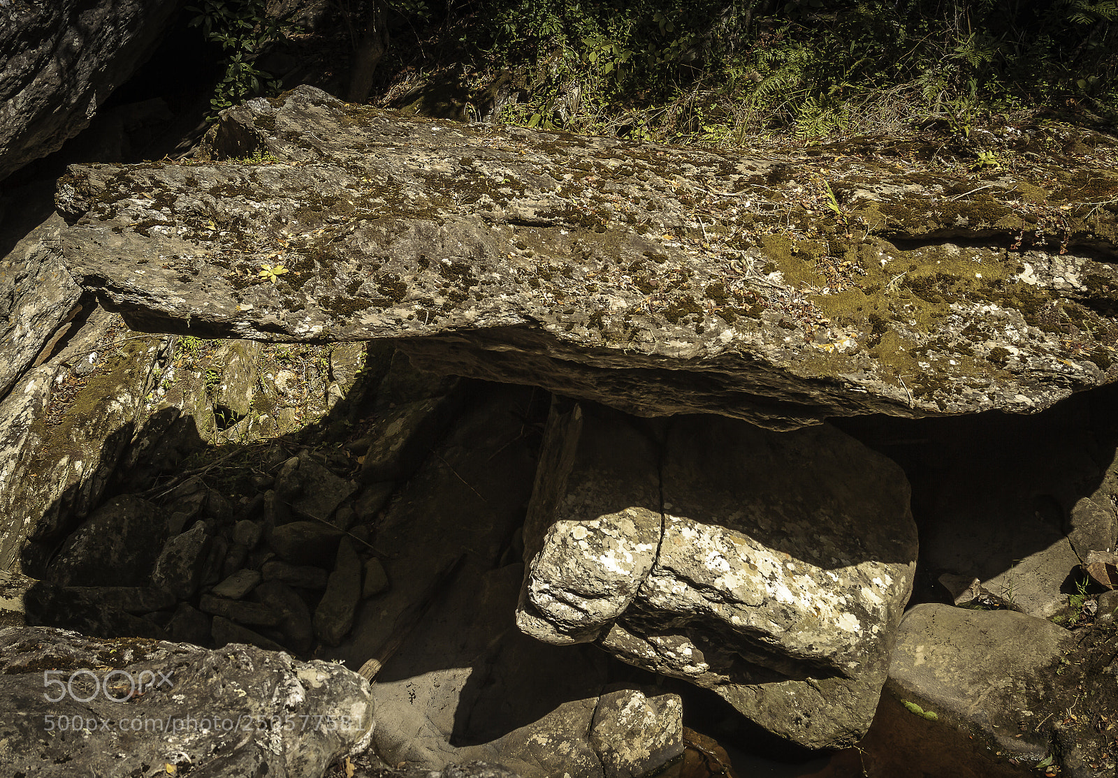 Canon EOS 7D sample photo. Herman van zyl photography