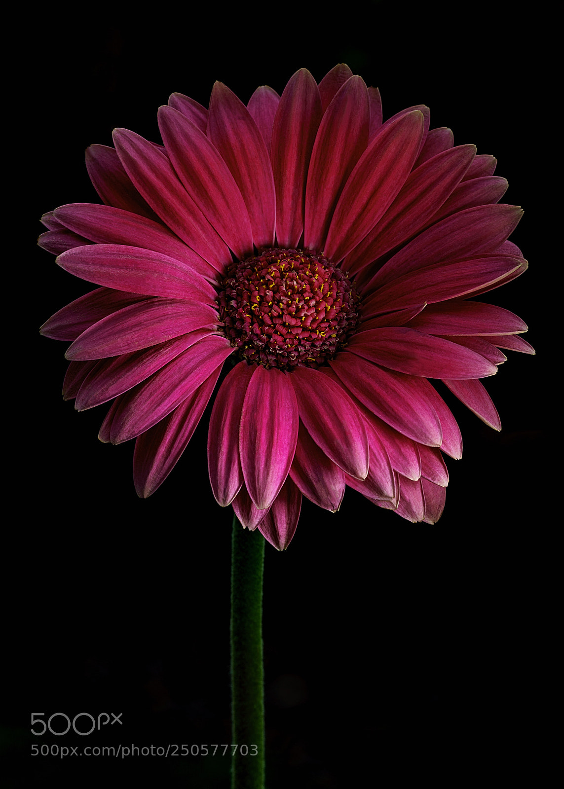 Sony a7 II sample photo. Out of the dark photography
